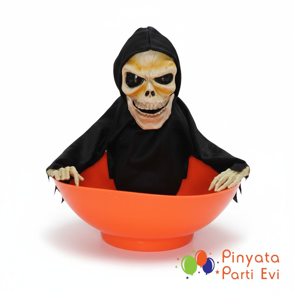 Şeker Kovası İskelet Model