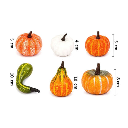 6’lı mini balkabağı ve kabak setinin 4, 5, 8 ve 10 cm ölçüleri
