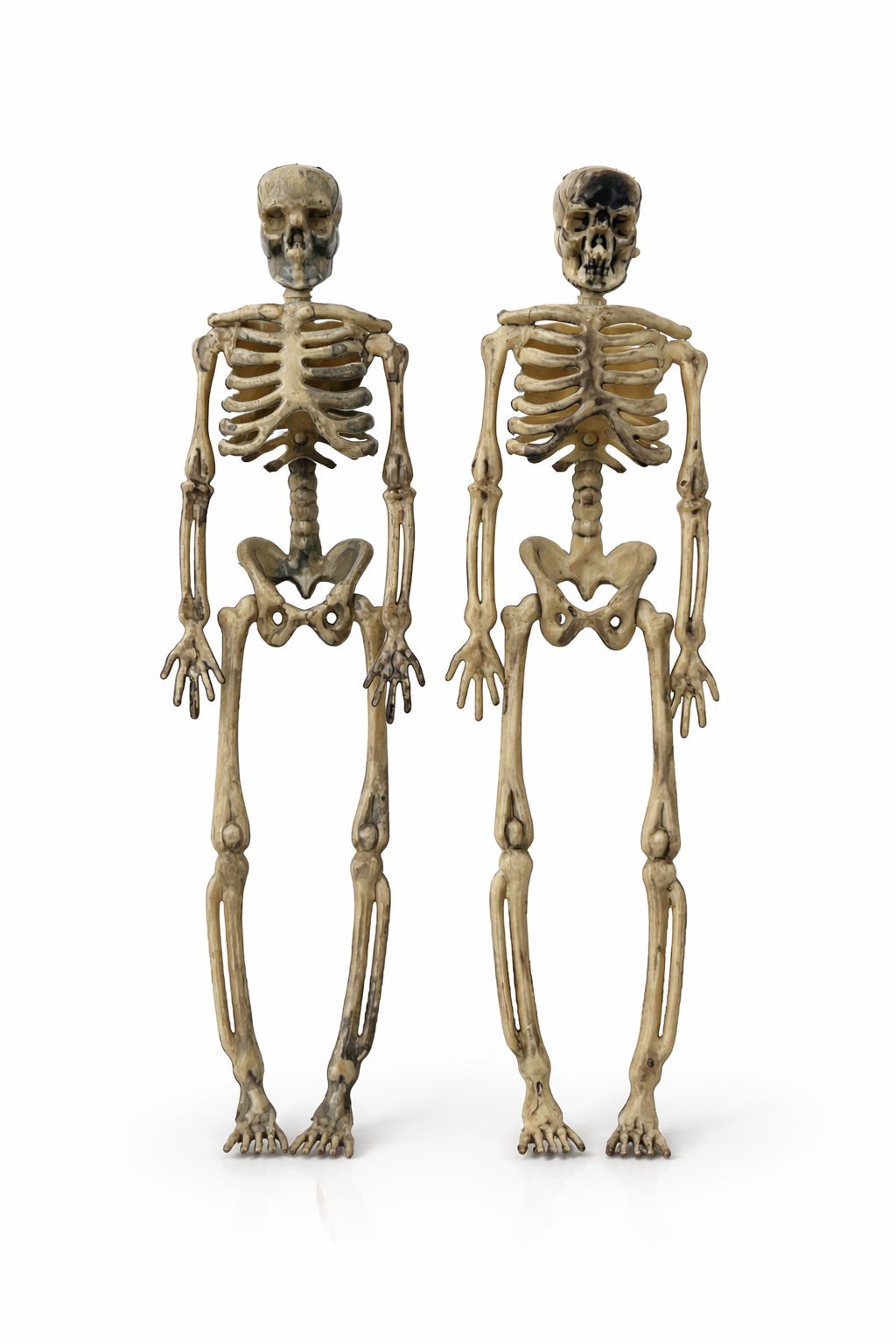 Halloween 2'li mini iskelet dekor seti 17 cm