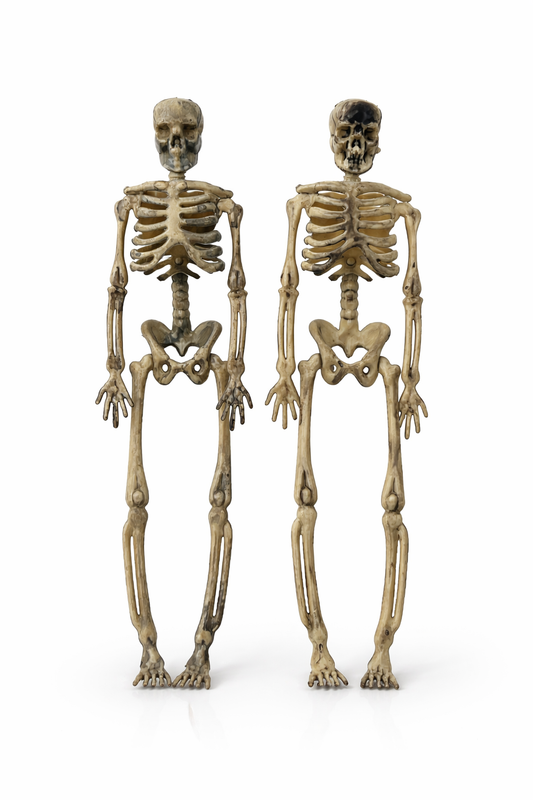 Halloween 2'li mini iskelet dekor seti 17 cm