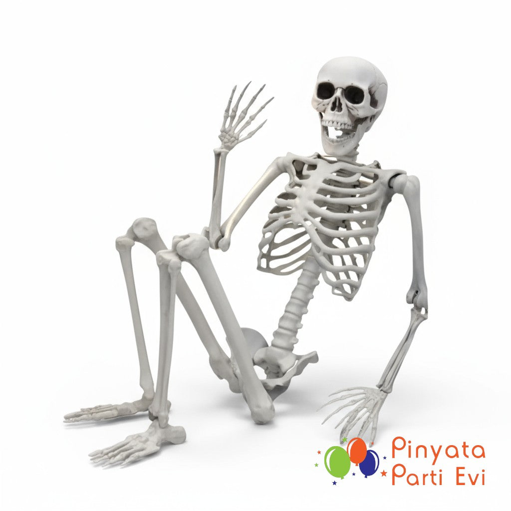 Büyük İskelet 180 cm