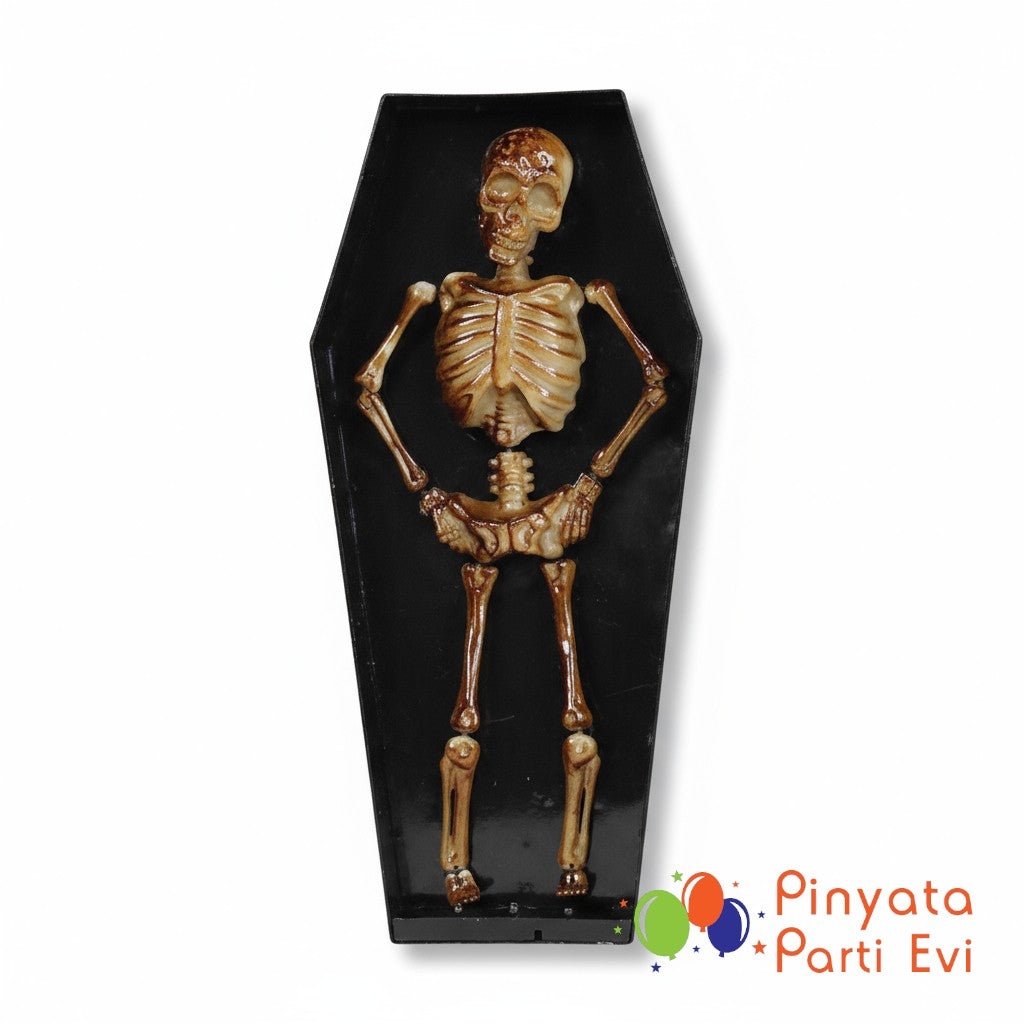 Tabutta Dans Eden İskelet