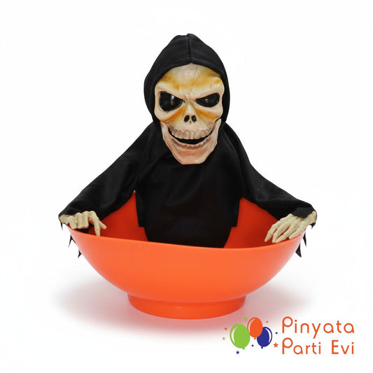 Şeker Kovası İskelet Model